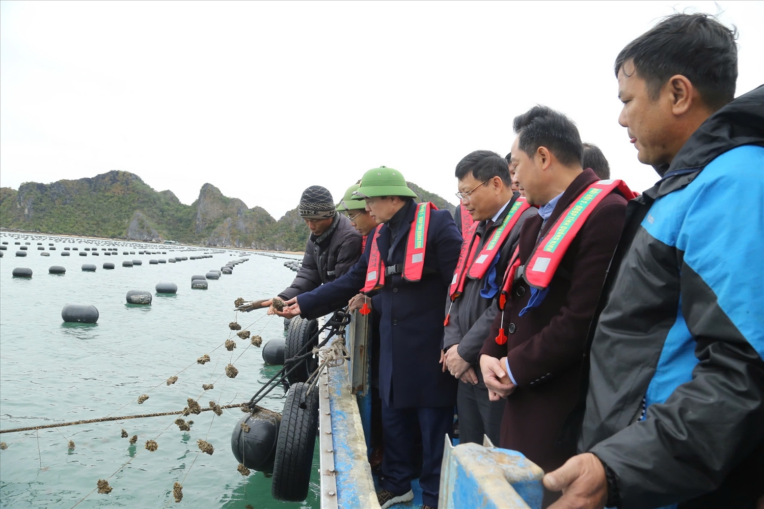 Phó Thủ tướng Chính phủ, kiểm tra tình hình sản xuất nông nghiệp tại huyện Vân Đồn