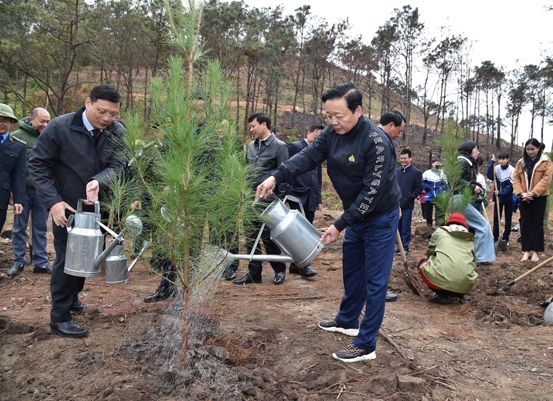 Phó Thủ tướng Trần Hồng Hà tham gia Tết trồng cây tại phường Phương Đông, TP. Uông Bí, tỉnh Quảng Ninh - Ảnh: VGP/Hải Minh