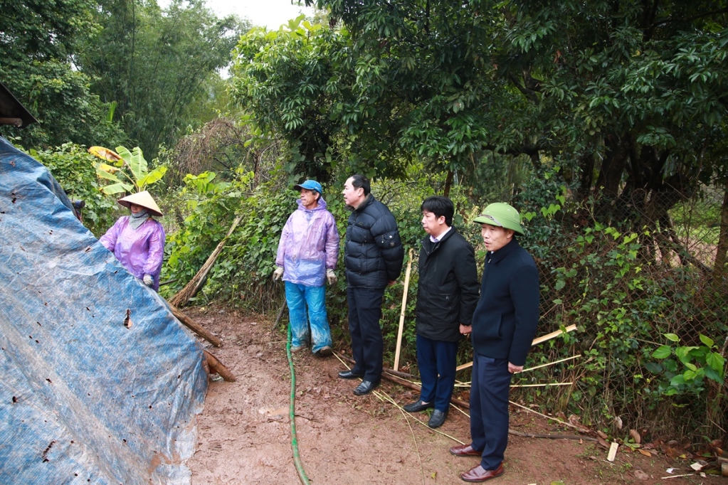 Lãnh đạo Sở Nông nghiệp và Phát triển Nông thôn tỉnh Quảng Ninh kiểm tra công tác phòng chống rét cho đàn gia súc, gia cầm tại các địa phương