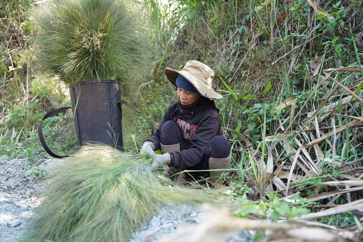 Sau khi hái đót, bà Kăn Tin phân loại đót để nhập cho thương lái