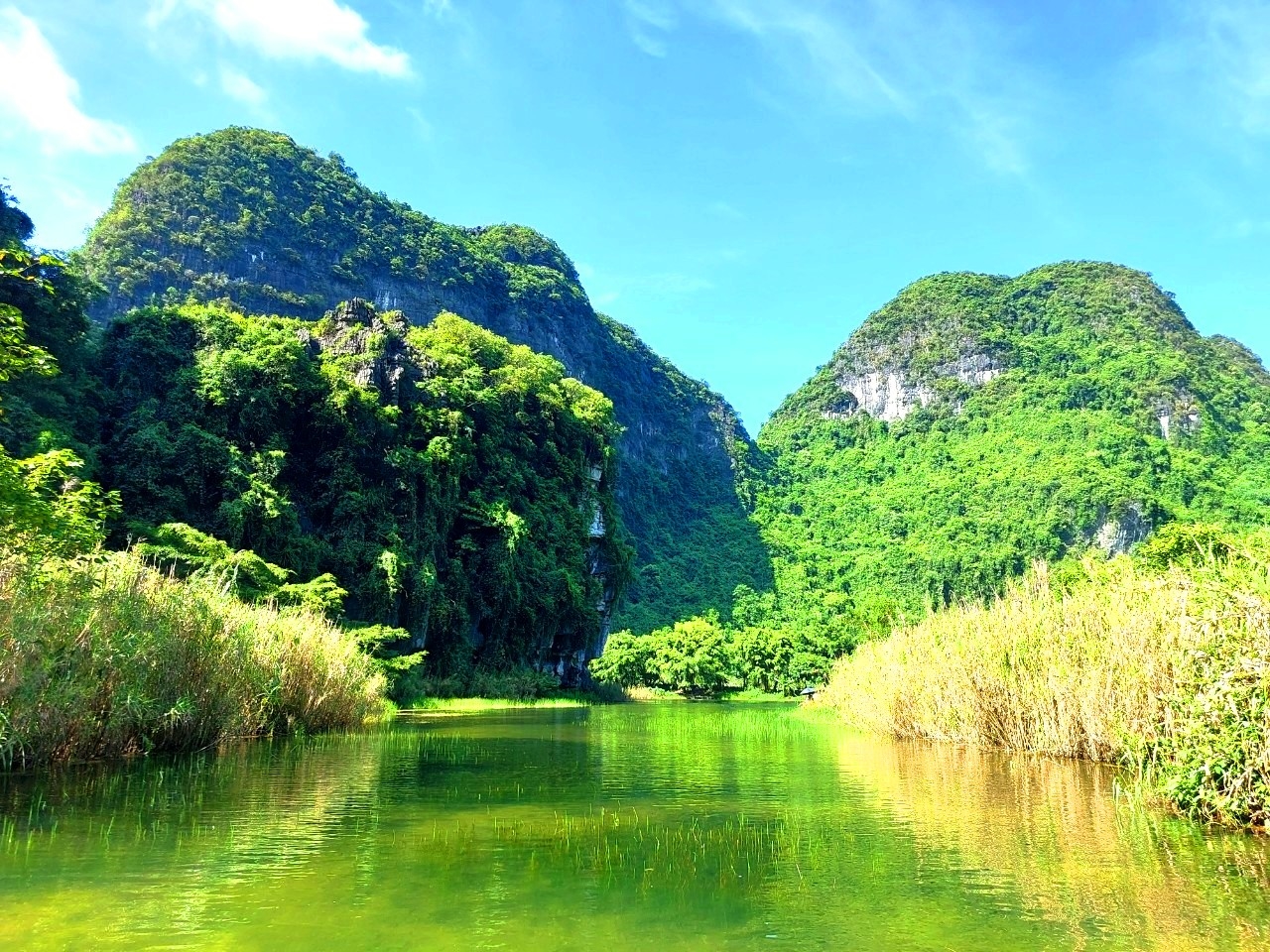 Con sông Sào Khê có những đoạn cỏ cây um tùm, hoang sơ và thơ mộng.