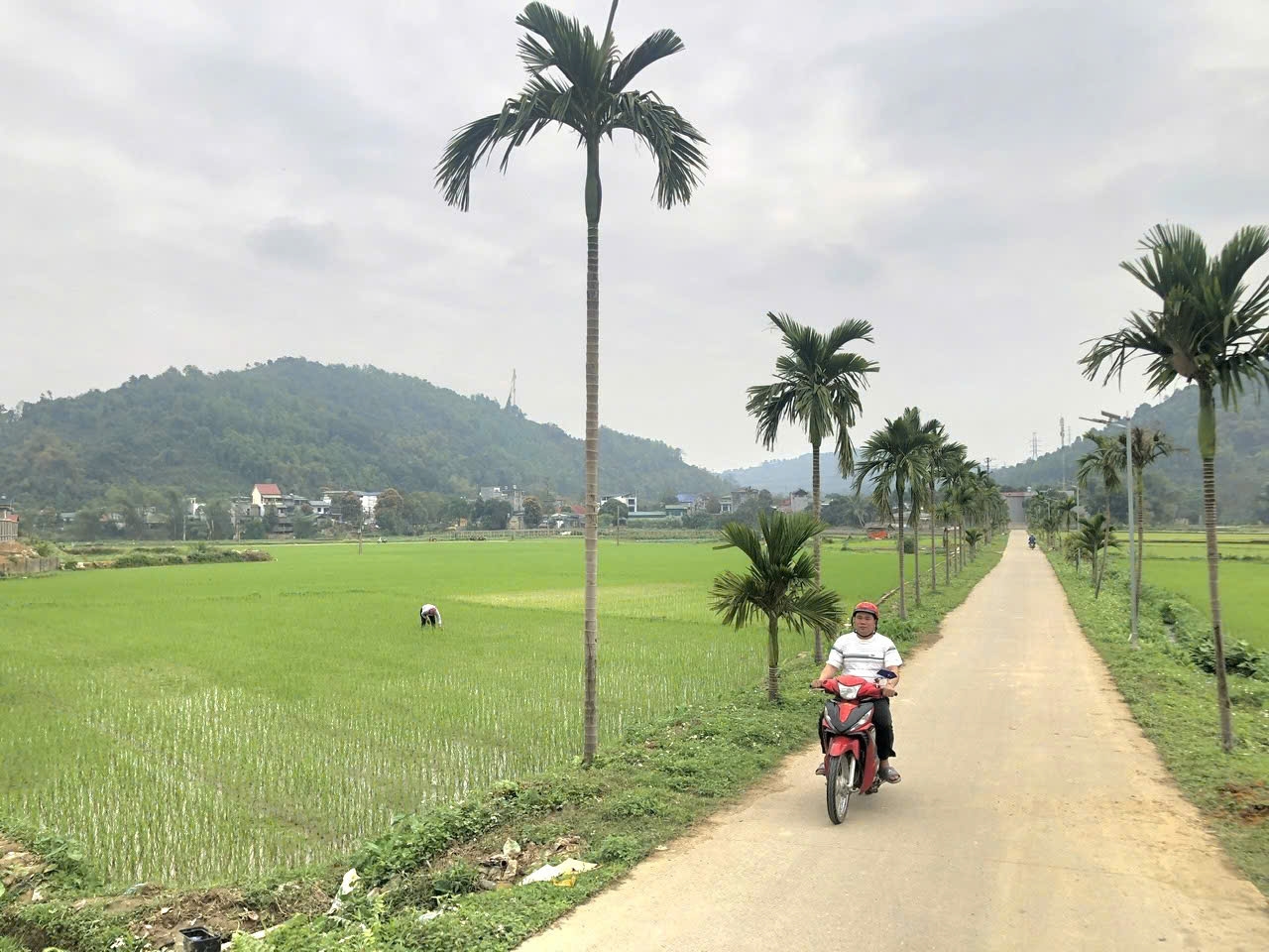 Đồng bào Công giáo ở Quang Kim chung tay xây dựng bản làng ngày một phát triển