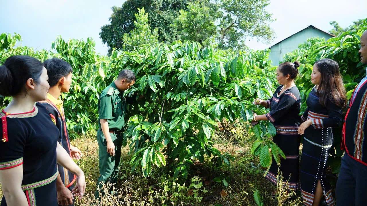 Nhằm nâng cao kiến thức, quyền làm chủ kinh tế cho phụ nữ trong thời kỳ mới, chị Kpuih H’Hoa đã hướng dẫn cho dân làng thay đổi cơ cấu cây trồng, phát triển kinh tế