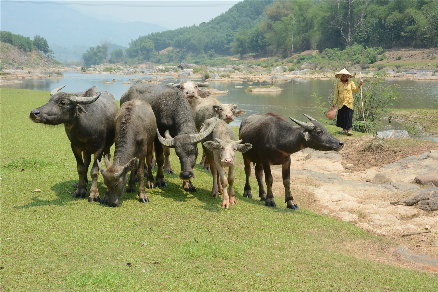 Bình yên bên Sông Re