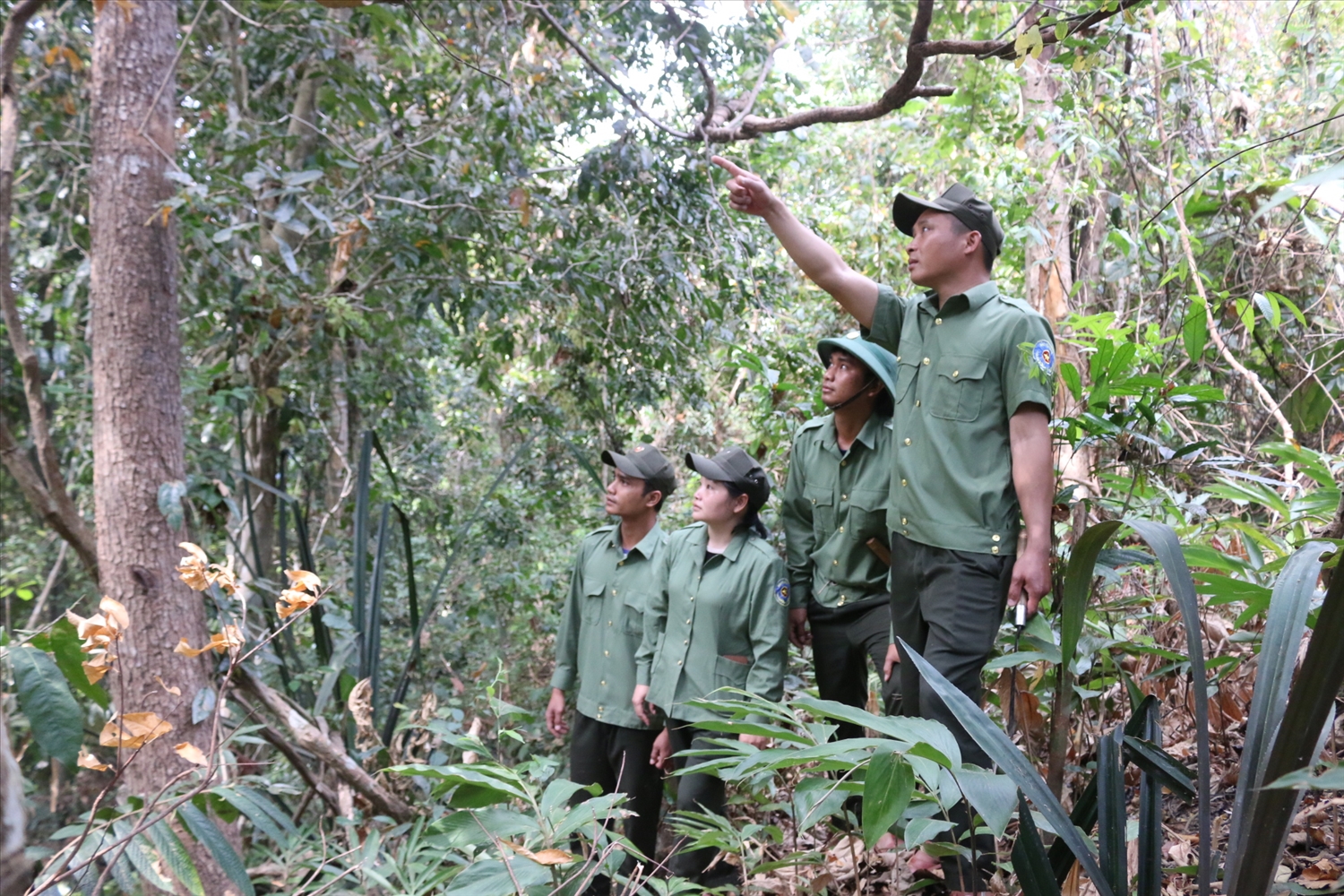 Không còn sự tham gia của cộng đồng, trong khi lực lượng mỏng nên công tác quản lý, bảo vệ rừng của Vườn quốc gia Chư Mom Ray gặp nhiều khó khăn