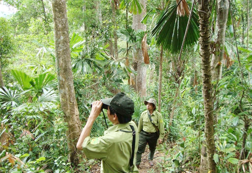 Tăng cường công tác kiểm tra, bảo vệ rừng