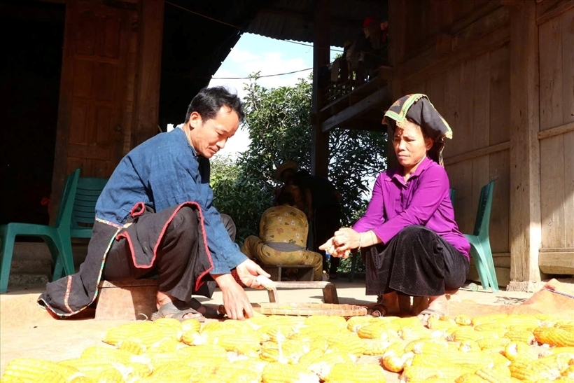 Với những đóng góp quan trọng của đội ngũ Người có uy tín, đời sống kinh tế - xã hội vùng đồng bào DTTS tỉnh Lai Châu đã có nhiều chuyển biến đáng kể (Ảnh minh họa).