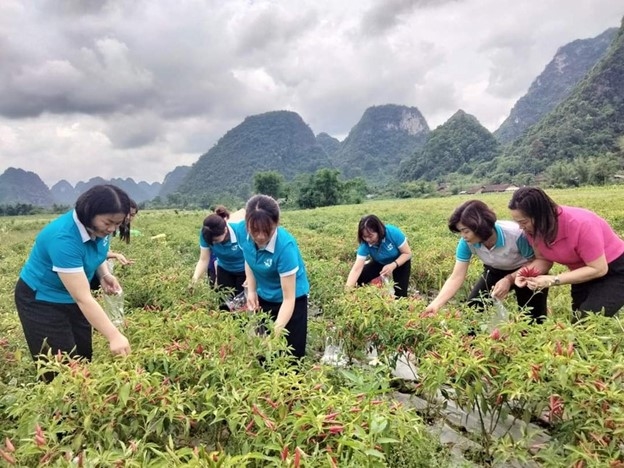 Bằng những hoạt động cụ thể, gắn với thực tiễn tại mỗi địa phương, Hội LHPN Cao Bằng đã đạt được nhiều kết quả khả quan trong công tác triển khai thực hiện Dự án 8.