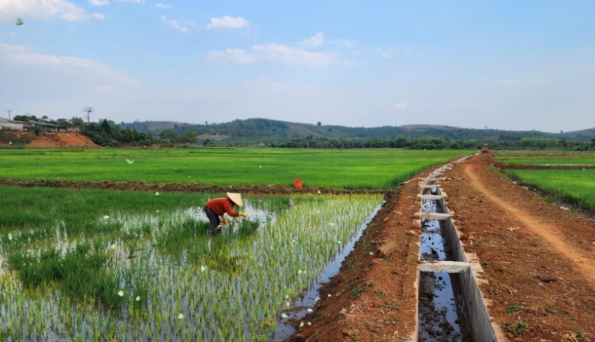 Hệ thống kênh mương được đầu tư hơn 1 tỷ đồng từ nguồn lực của Chương trình MTQG 1719 tại bon Bu Dơng, xã Đắk R’tíh , huyện Tuy Đức đã phục vụ nước tưới cho hàng chục ha của đồng bào DTTS (Ảnh: Báo Đắk Nông).