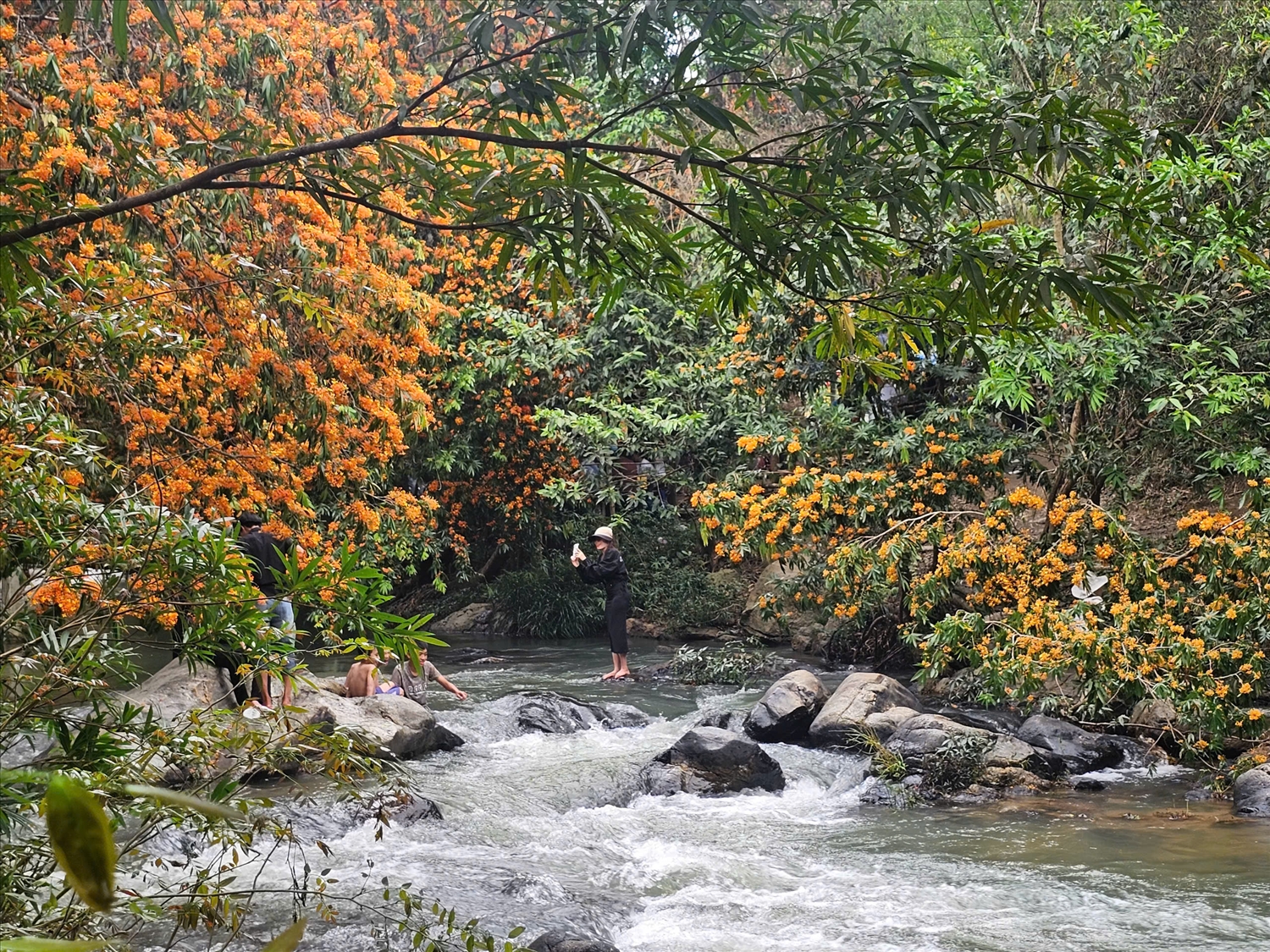 Hoa trang khoe sắc ở suối Tà Má.