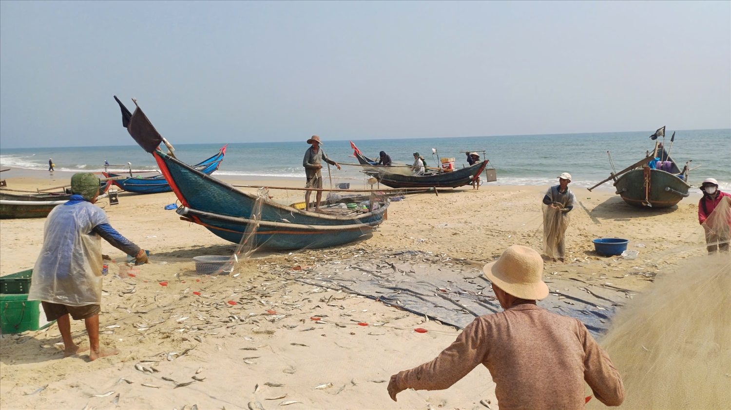 Ngư dân ở làng chài Hòa Trung gỡ cá ra khỏi lưới 