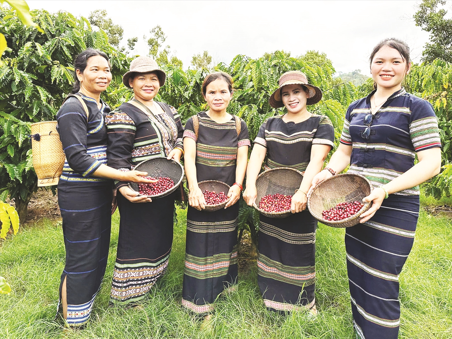 Những thành viên Tổ hợp tác Oh mi Kơho Cà phê với nguyên liệu cà phê sạch.