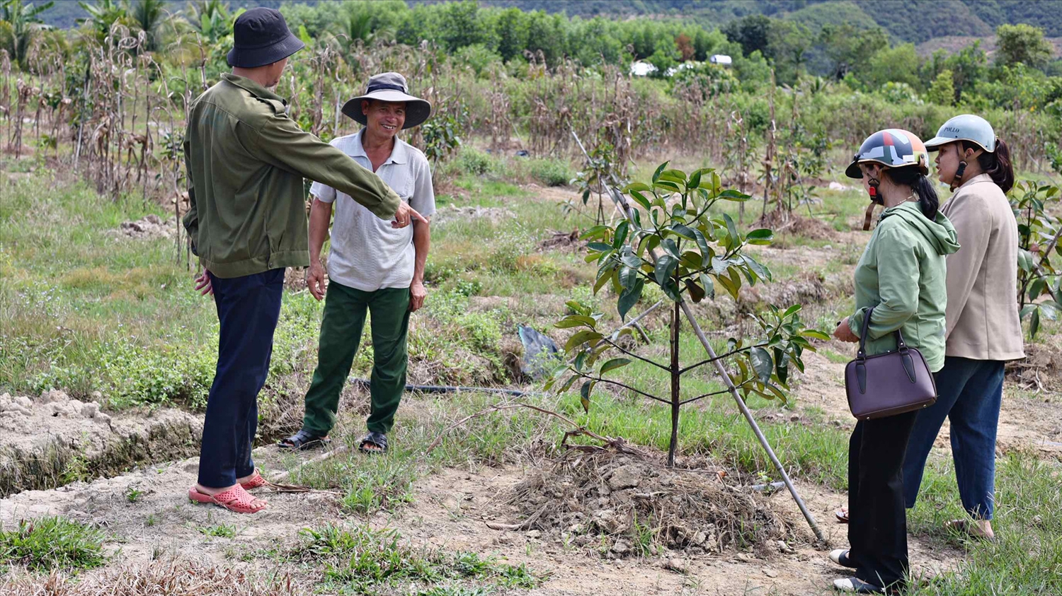 Đa dạng hóa sinh kế là một trọng những giải pháp quan trọng trong giảm nghèo ở Lâm Đồng.
