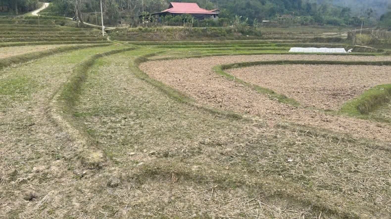 Một cánh đồng khô hạn vì thiếu nước ở huyện Na Rì. (Ảnh: Tuấn Sơn)
