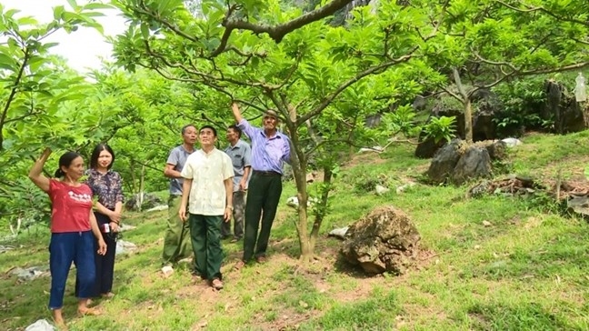 Đội ngũ Người có uy tín trong đồng bào DTTS tỉnh Thái Nguyên đã và đang phát huy tốt vai trò hạt nhân trong khối đại đoàn kết toàn dân tộc. (Ảnh minh họa).