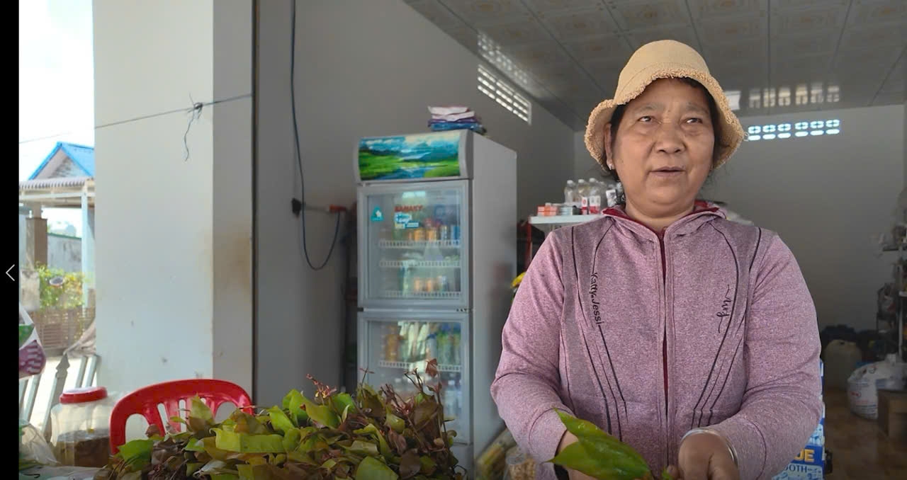 Bà A Tuôl Suốt làm nghề hái và bán lá bép