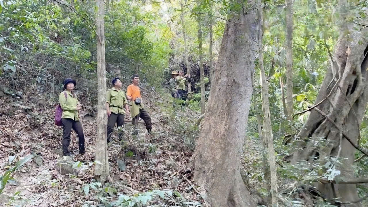 Tổ tuần tra Ban Quản lý rừng đặc dụng phòng hộ Sốp Cộp, tỉnh Sơn La triển khai hoạt động kiểm tra rừng. Ảnh: Báo Nhân dân