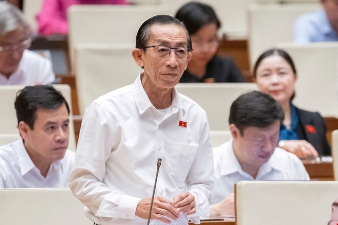 Đại biểu Trần Hoàng Ngân (Đoàn ĐBQH Thành phố Hồ Chí Minh)