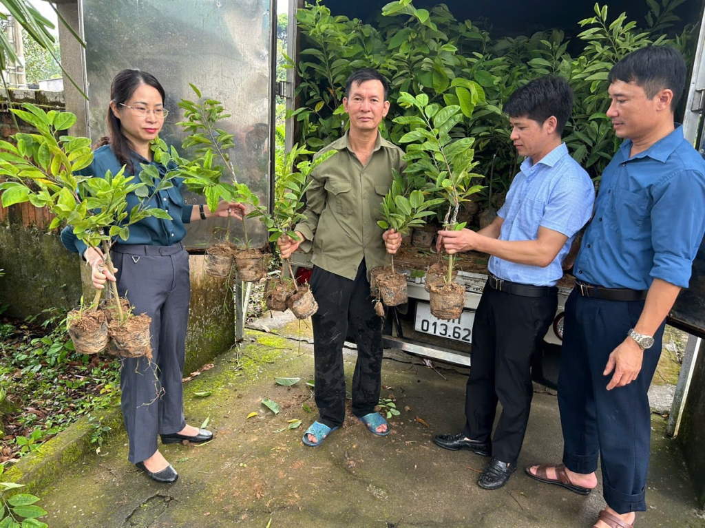 Ông Toàn luôn gương mẫu đi đầu chuyển đổi cơ cấu cây trồng vật nuôi