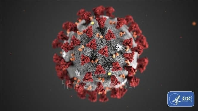 Hình ảnh do Trung tâm phòng ngừa và kiểm soát dịch bệnh Mỹ (CDC) cho thấy hình thái cấu tạo của virus corona chủng mới Covid-19 gây dịch viêm đường hô hấp cấp. (Ảnh: THX/TTXVN)