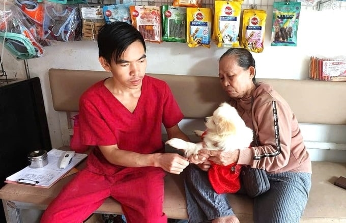 Tiêm phòng vắc xin dại miễn phí cho chó, mèo