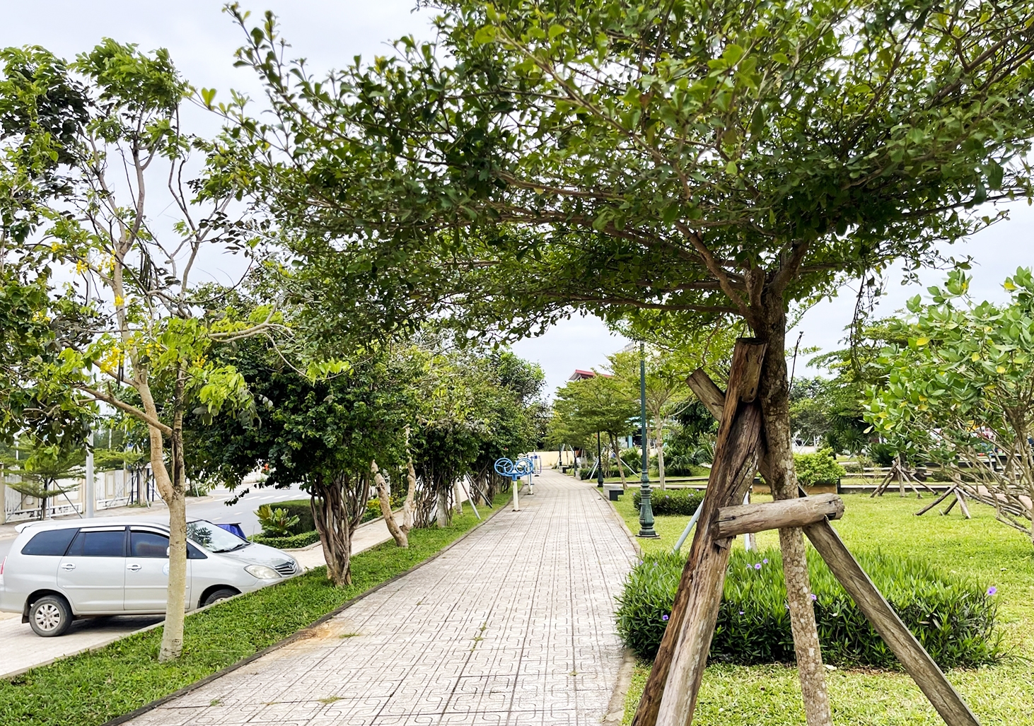 Màu xanh hiện diện tại khu vui chơi trung tâm huyện đảo Lý Sơn