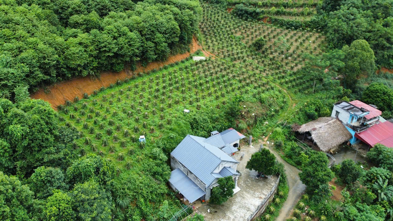 Chương trình MTQG 1719 đã và đang góp phần thúc đẩy phát triển kinh tế - xã hội khu vực vùng sâu, vùng xa, vùng DTTS trên địa bàn huyện Bảo Yên