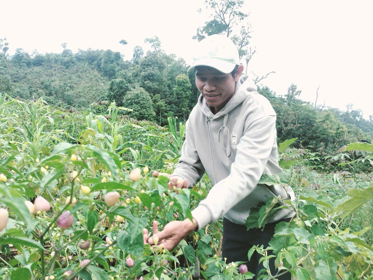 Giữa muôn vàn khó khăn, anh Nguyễn Văn Nhơn vẫn nổ lực trồng trọt, chăn nuôi để cải thiện sinh kế.