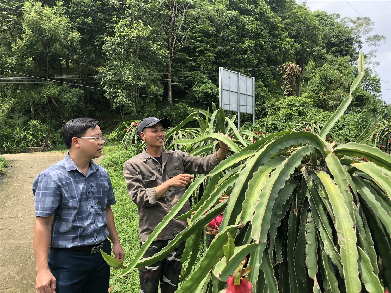 Đời sống, thu nhập của bà con nông dân không ngừng được cải thiện nhờ đưa các giống cây con mới vào nuôi trồng