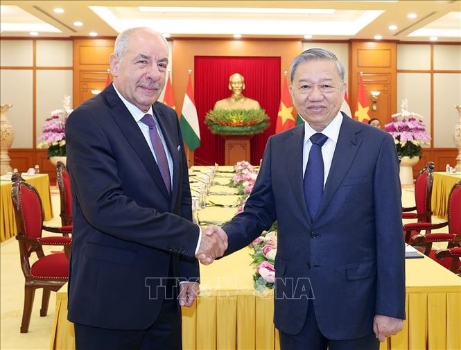 Tổng Bí thư Tô Lâm và Tổng thống Hungary Sulyok Tamás. Ảnh: TTXVN