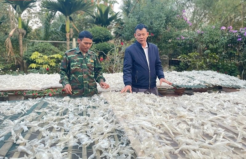 Sản xuất bánh canh dong xã Ngọc Liên huyện Ngọc Lặc (Thanh Hóa)