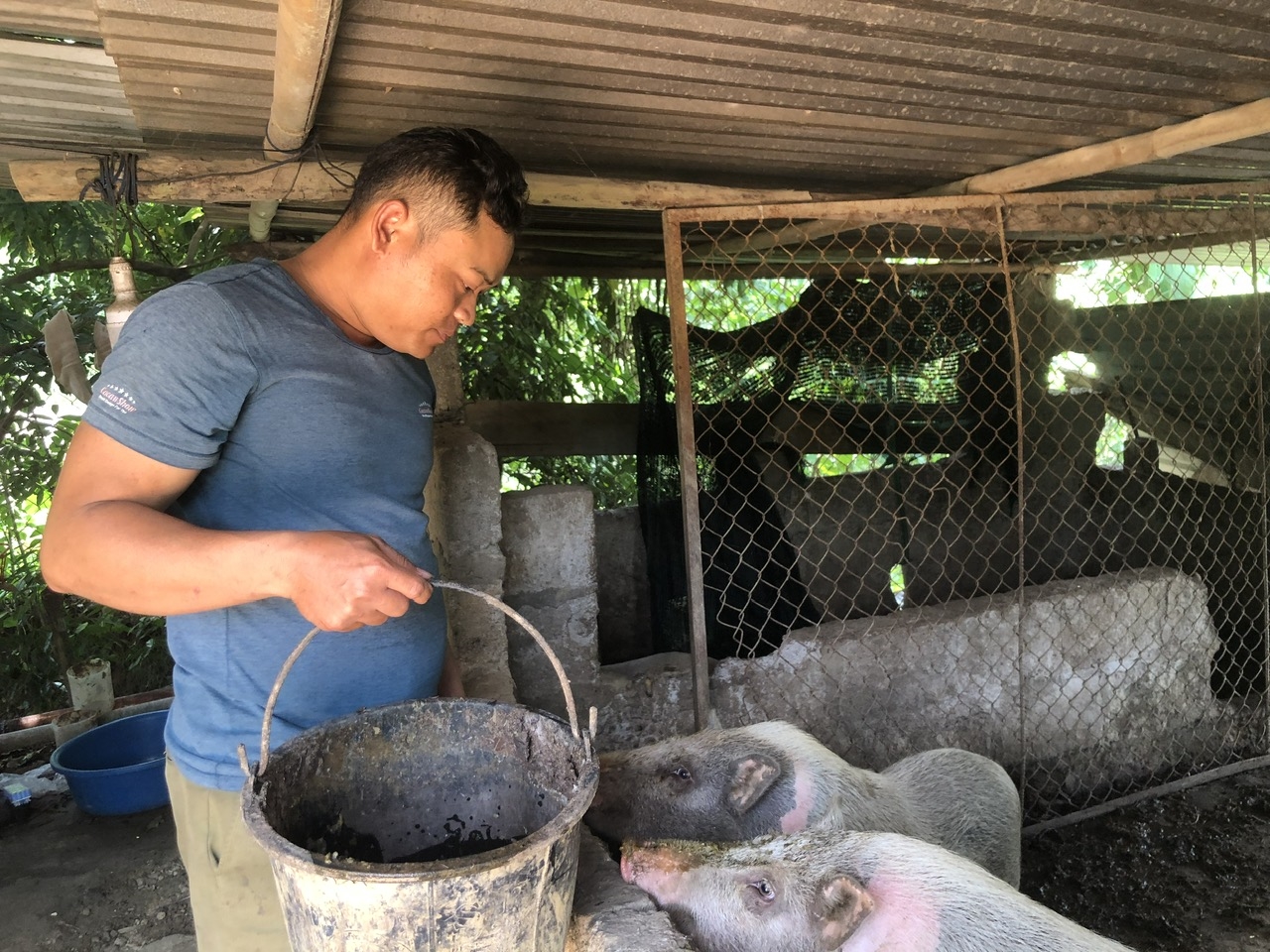 Không chỉ giỏi việc thôn, anh Hồ Văn Diu còn là tấm gương tiêu biểu trong việc phát triển kinh tế hộ gia đình 