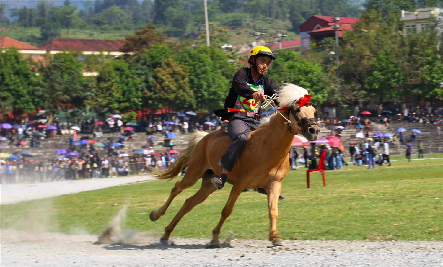 Tham gia tranh tài, những kỵ sĩ nông dân chân đất đích thực của các dân tộc Tày, Nùng, Mông và nhiều dân tộc khác đã thể hiện bản lĩnh với tài nghệ cưỡi ngựa không có yên cương