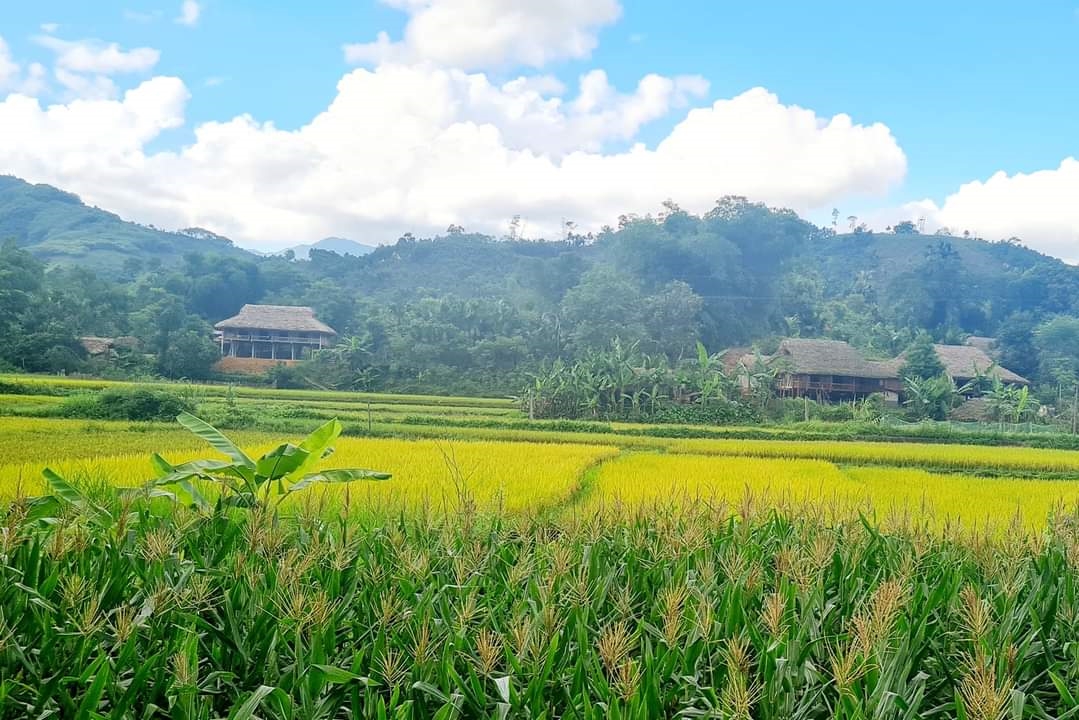 Nghĩa Đô đang hướng đến xây dựng miền quê thanh bình, đáng sống