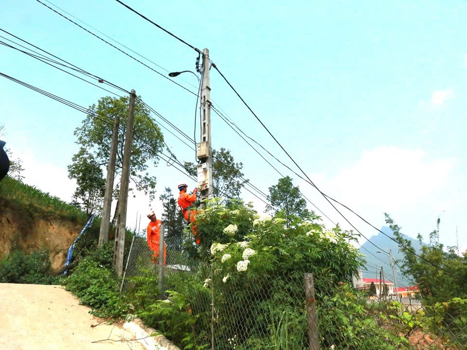 PC Lào Cai thường xuyên bảo trì hệ thống truyền tải điện bảo đảm an toàn