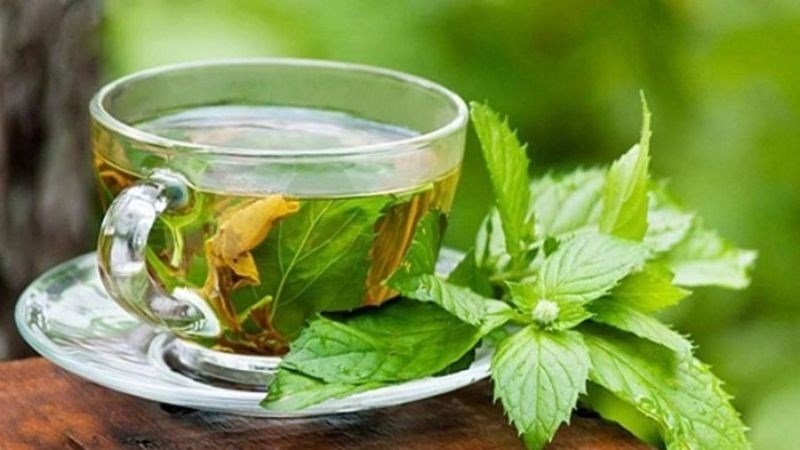 (Tổng hợp) Công dụng chữa bệnh của cây mật gấu 3