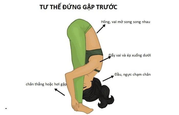 Đứng cúi gập người về phía trước lưu thông máu não