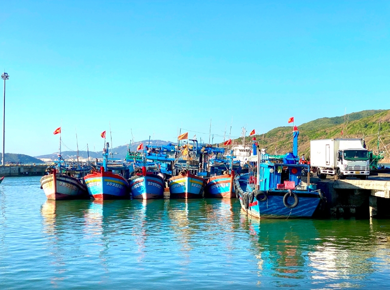 Bình Định là một trong những địa phương có đội tàu cá hùng hậu nhất cả nước