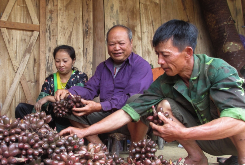 Người có uy tín đã thực sự trở thành chỗ dựa tin cậy của đồng bào DTTS (Ảnh minh họa).
