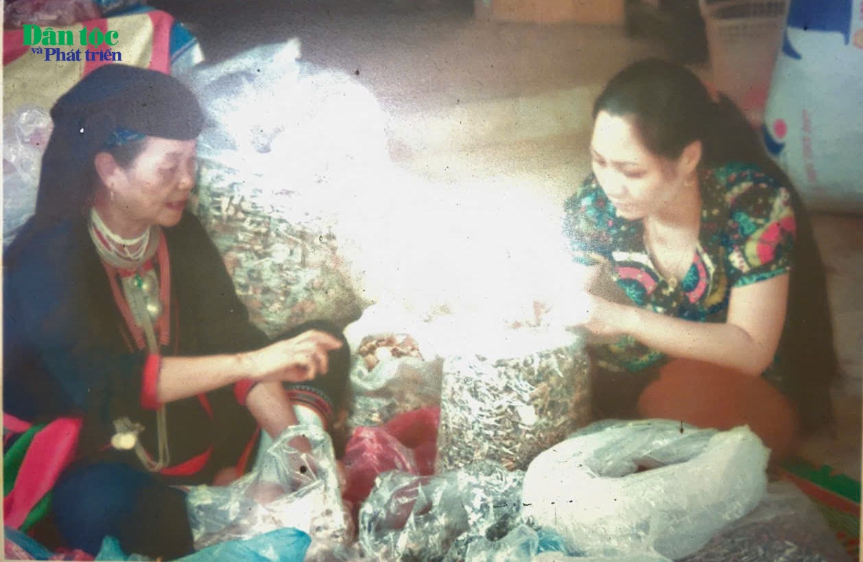 Thầy thuốc Triệu Thị Lan (thôn Yên Sơn, xã Ba Vì, huyện Ba Vì, Hà Nội) đang thực hành nghề (Ảnh: Làng Dao - Làng Văn hóa - Du lịch các dân tộc Việt Nam)