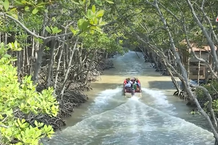 Khám phá rừng Sác
