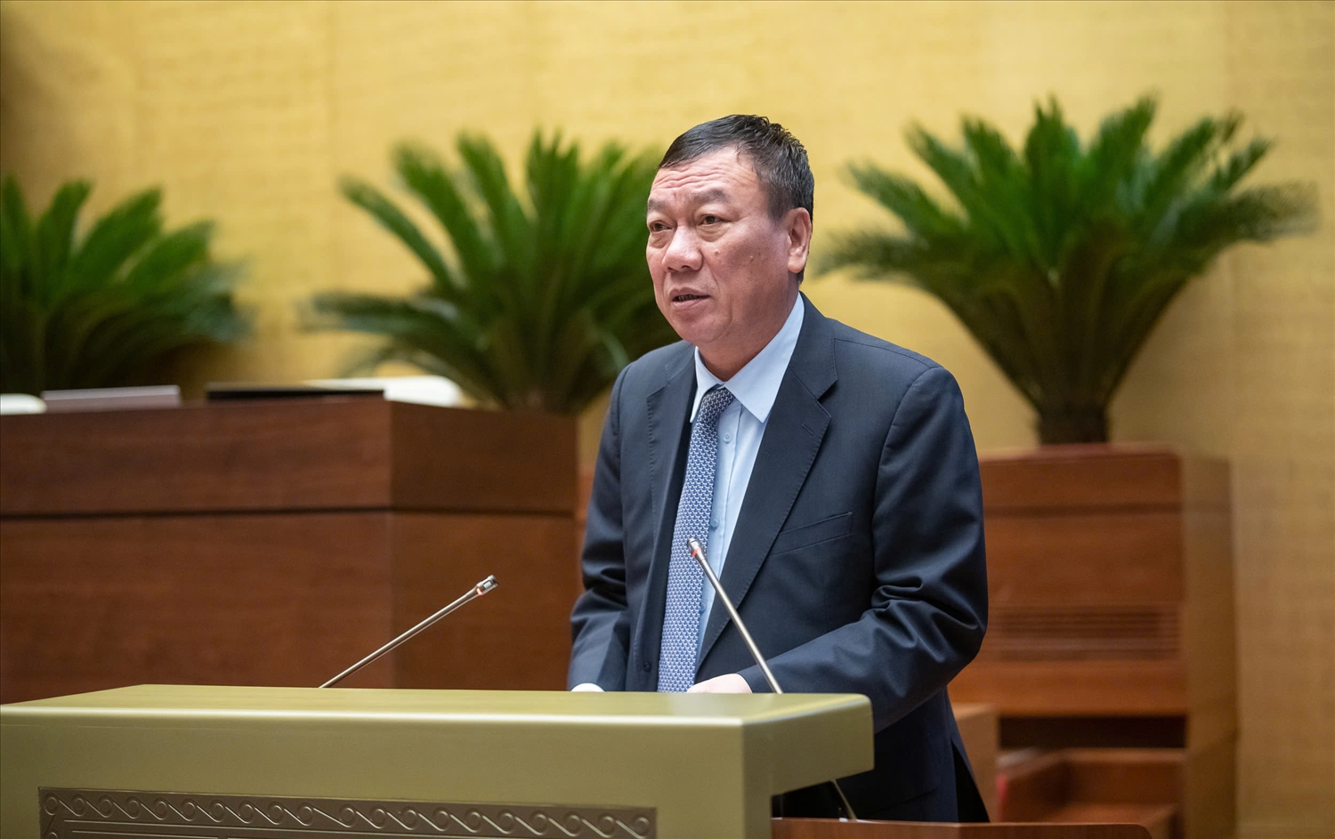 Tổng thanh tra Chính phủ Đoàn Hồng Phong