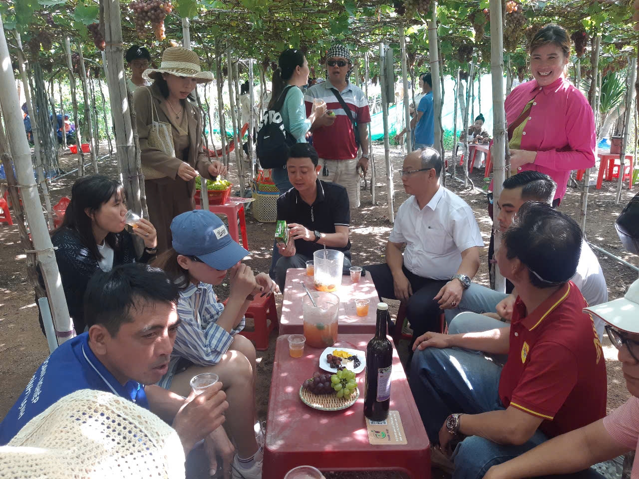 Các học viên trải nghiệm thực tế tại vườn nho Thanh Thủy, huyện Ninh Hải, tỉnh Ninh Thuận