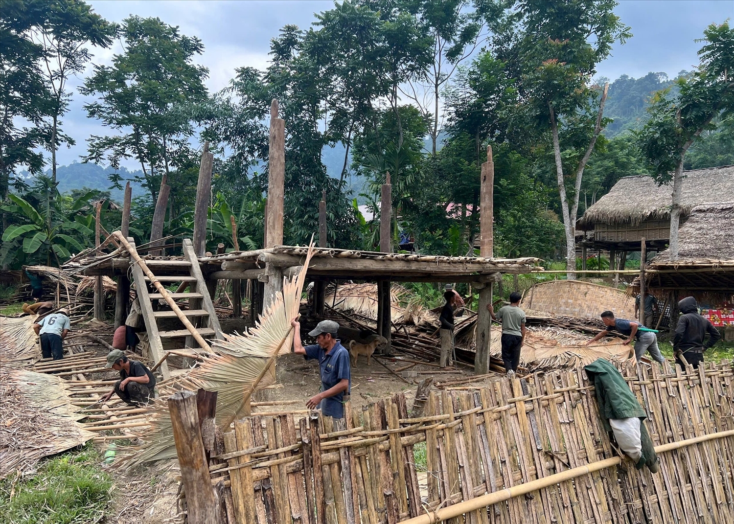 Các bản làng người Đan Lai ở Vườn quốc gia Pù Mát đang bước vào ngày hội dựng nhà để an cư