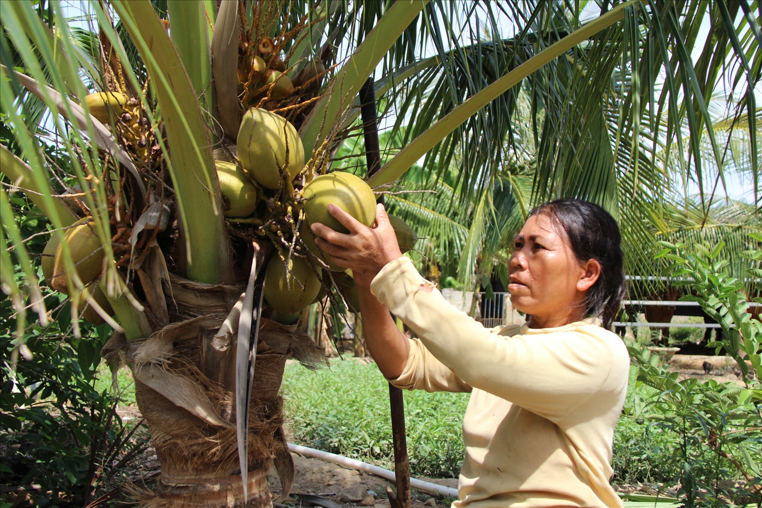 Chính sách hỗ trợ của Nhà nước giúp người dân đầu tư phát triển sản xuất, ổn định đời sống