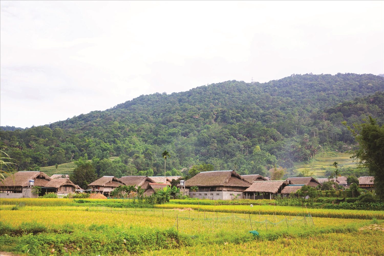 Thôn Tha, xã Phương Độ, thành phố Hà Giang - Địa phương tiêu biểu của tỉnh Hà Giang trong thực hiện chính sách dân tộc và công tác dân tộc