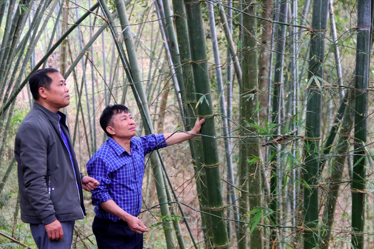 Ông Kha Văn Toàn (người mặc áo sọc) Người có uy tín bản Tam Bông, xã Tam Quang, huyện Tương Dương, tỉnh Nghệ An (Ảnh: Q.An).