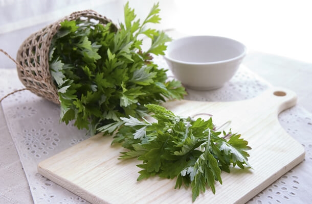 (Tổng hợp) Bài thuốc điều trị cảm cúm từ cây lá vườn nhà 3