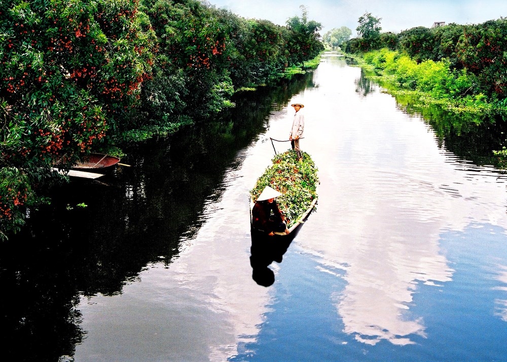 Thanh Hà mùa vải chín 