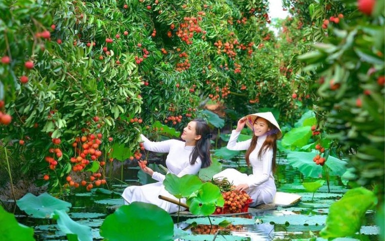  Điểm check in cho du khách trải nghiệm chèo thuyền hái vải 